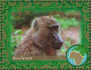Stamp, Baboon, Abkhazia,  , Animals (Fauna)