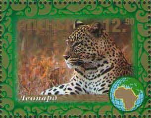 Leopard
