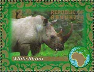 White rhino