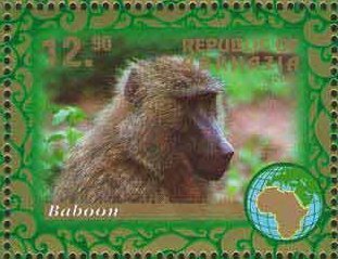 Baboon