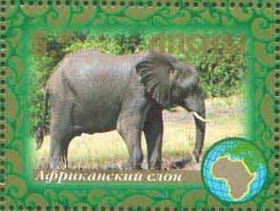 Elephant