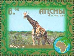Giraffe