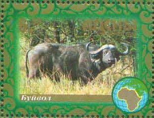 Buffalo