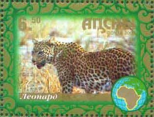 Leopard
