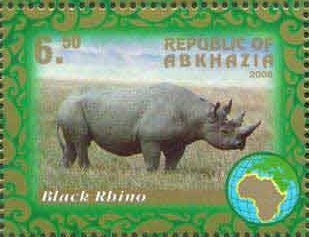 Rhinoceros