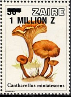 Stamp, CD 962 with new value, Zaire,  , Mushrooms, Plants (Flora)