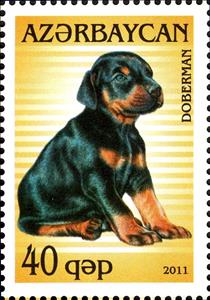 Stamp, Doberman Pinscher (Canis lupus familiaris), Azerbaijan,  , Dogs