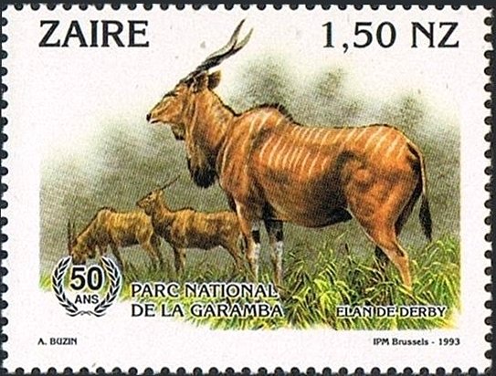 Giant Eland (Taurotragus derbianus)