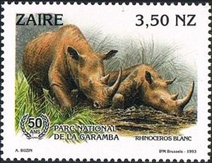 Stamp, White Rhinoceros (Ceratotherium simum), Zaire,  , Animals (Fauna)