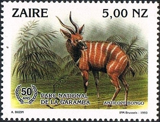 Bongo (Tragelaphus eurycerus)