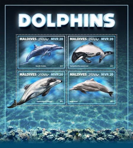 Dolphins