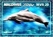 Stamp, Sousa teuszii, Maldives,  , Animals (Fauna), Dolphins, Mammals, Sea (Marine) Mammals, Sea Life