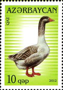 Stamp, Domestic Goose (Anser anser domestica), Azerbaijan,  , Geese