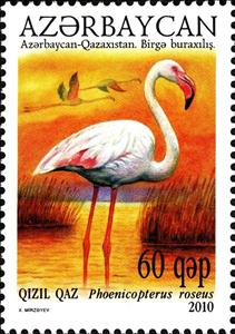 Stamp, Greater Flamingo (Phoenicopterus roseus), Azerbaijan,  , Birds, Flamingos, Animals (Fauna)