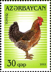 Stamp, Cock (Gallus gallus domesticus), Azerbaijan,  , Roosters and Chickens