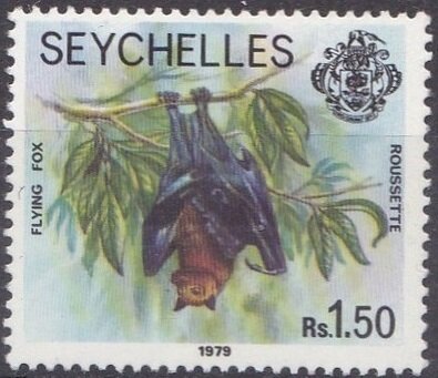 Flying fox (Pteropus seychellensis)