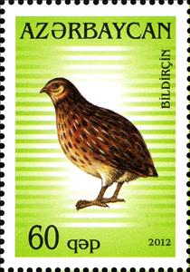 Stamp, Gray Partridge (Perdix perdix), Azerbaijan,  , Roosters and Chickens