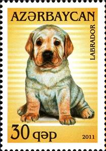 Stamp, Labrador (Canis lupus familiaris), Azerbaijan,  , Dogs