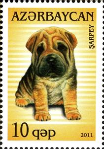 Stamp, Shar Pei (Canis lupus familiaris), Azerbaijan,  , Dogs