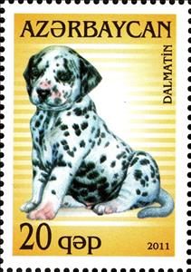Stamp, Dalmatian (Canis lupus familiaris), Azerbaijan,  , Dogs