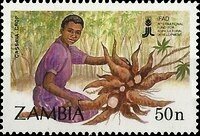 Stamp, Cassava crop, Zambia,  , Agriculture