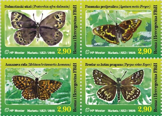 Butterflies