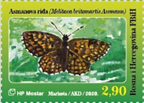 Assmann's Fritillary (Melitaea britomartis Assmann)