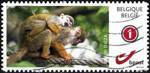 Stamp, Monkeys, Personalized and Private Mail Stamps,  , Animals (Fauna), Mammals, Monkeys