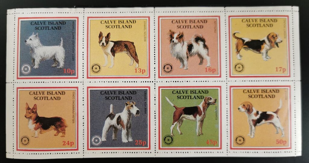 Dogs