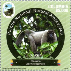Stamp, Humboldt's Woolly Monkey (Lagothrix lagothricha), Colombia,  , Monkeys, Parks