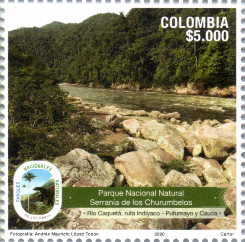 View of the Caquetá River