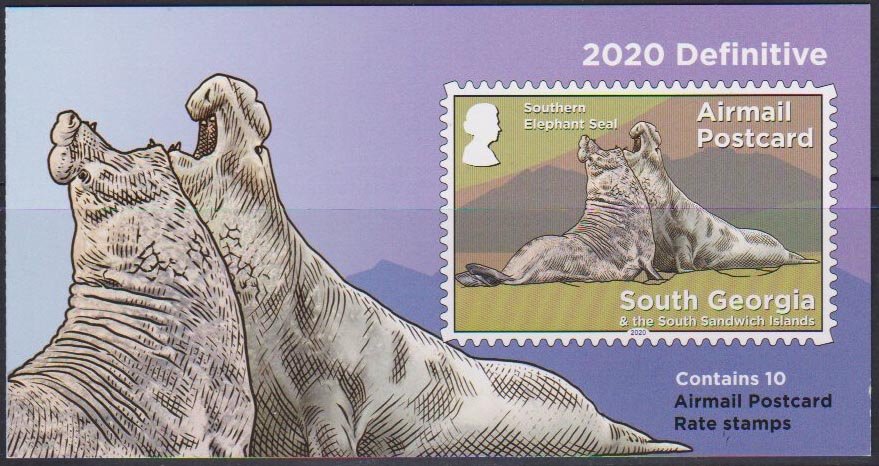 Elephant Seal (Mirounga leonina)