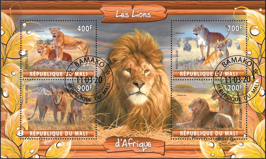 Les Lion d'Afrique