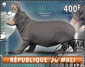 Stamp, Hippopotamus Amphibius, Cinderellas,  , Animals (Fauna), Hippopotamuses, Mammals