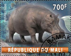 Stamp, Hippopotamus Amphibius, Cinderellas,  , Animals (Fauna), Hippopotamuses, Mammals