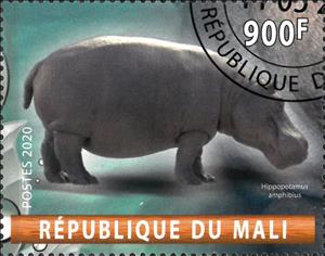 Stamp, Hippopotamus Amphibius, Cinderellas,  , Animals (Fauna), Hippopotamuses, Mammals