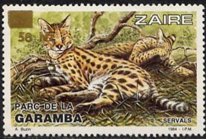 Stamp, Serval (Leptailurus serval), Zaire,  , Animals (Fauna)