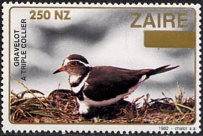 Stamp, Three-banded Plover (Afroxyechus tricollaris), Zaire,  , Birds, Animals (Fauna)
