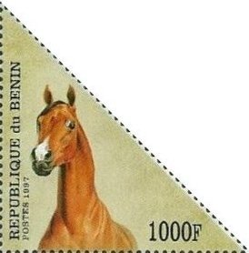 Stamp, Horse (Equus ferus caballus), Benin,  , Animals (Fauna), Horses, Mammals, Triangle Stamps