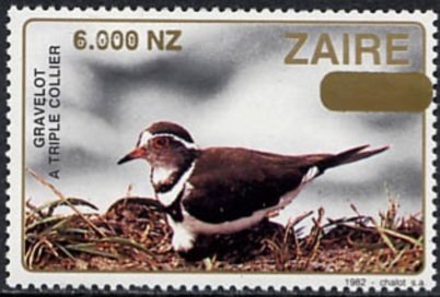 Stamp, Three-banded Plover (Afroxyechus tricollaris), Zaire,  , Birds, Animals (Fauna)