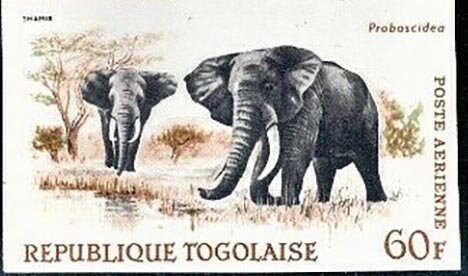 Stamp, Elephant, Togo,  , Animals (Fauna), Elephants, Mammals