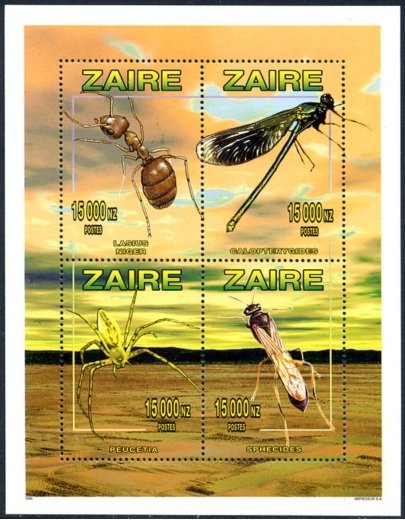 Insects
