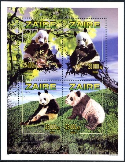 Giant Panda (Ailuropoda melanoleuca)