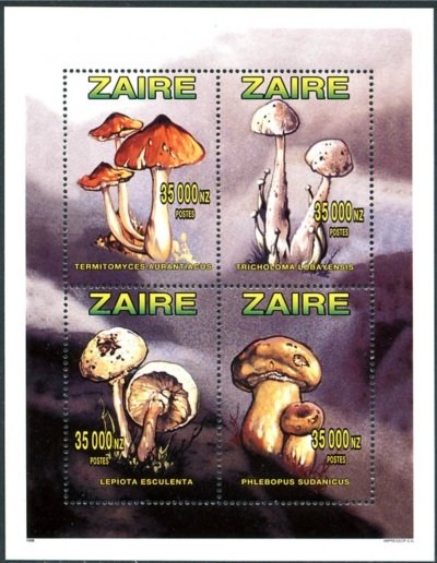 Mushrooms