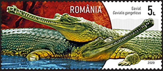 Stamp, Gharial (Gavialis gangeticus), Romania,  , Animals (Fauna), Crocodiles, Reptiles