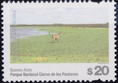 Ciervo de los Pantanos National Park, Buenos Aires