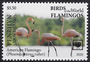 Stamp, American Flamingo (Phoenicopterus ruber), Penrhyn,  , Animals (Fauna), Birds, Flamingos