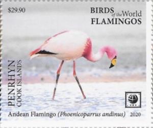 Stamp, Andean Flamingo (Phoenicoparrus andinus), Penrhyn,  , Animals (Fauna), Birds, Flamingos