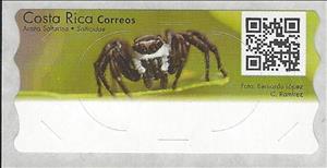 Stamp, Jumping Spider (Salticidae), Costa Rica,  , Animals (Fauna), Insects, Spiders