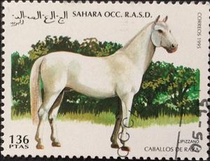 Stamp, Lipizzano, Cinderellas,  , Horses